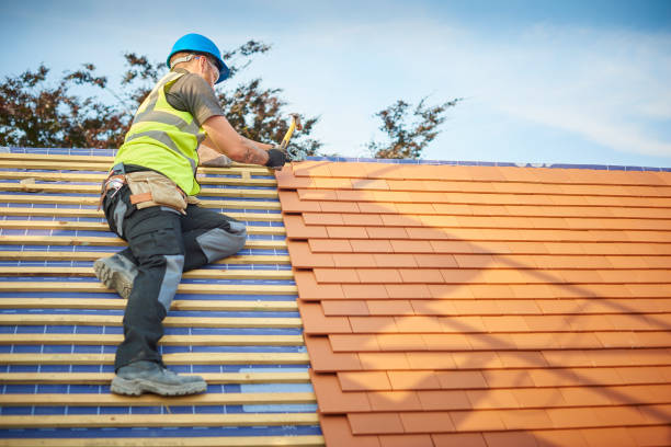 Best Roof Ventilation Installation  in Lindsborg, KS